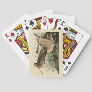 Jeu De Cartes Grand Godwit marbré - Les oiseaux d'Amérique d'Aud