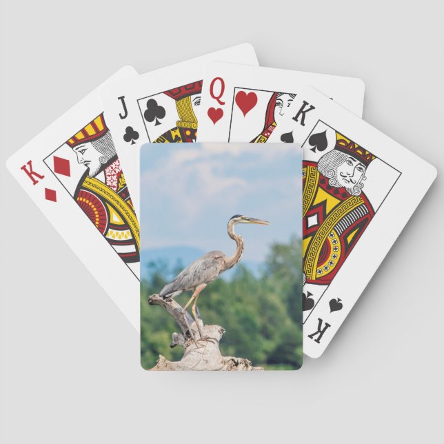 Jeu De Cartes Grand héron bleu (dos)