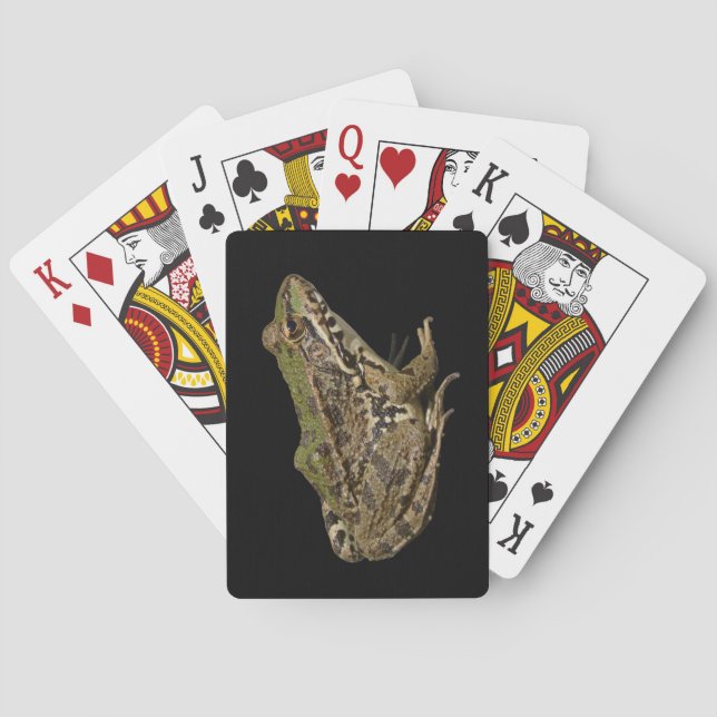 Jeu De Cartes Grenouille (dos)