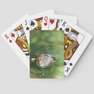 Jeu De Cartes Grenouille