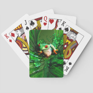 Jeu De Cartes Grenouille 4 Cartes de lecture