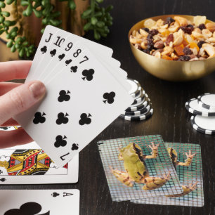 Jeu De Cartes Grenouille Arbre À L'Écran Fermer Photo