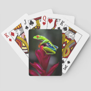 Jeu De Cartes Grenouille aux yeux rouges