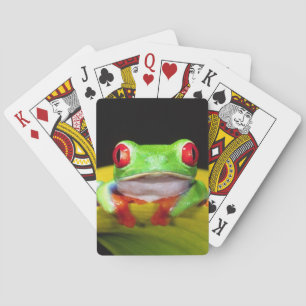 Jeu De Cartes Grenouille aux yeux rouges, Agalychinis callidryas