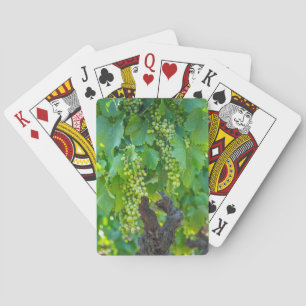 Jeu De Cartes Gros plan de raisins en maturation