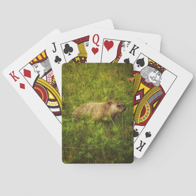 Jeu De Cartes Groundhog dans des cartes de jeu de champ (dos)