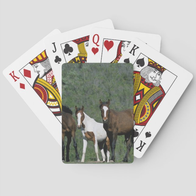 Jeu De Cartes Groupe de chevaux sauvages Mustang (dos)
