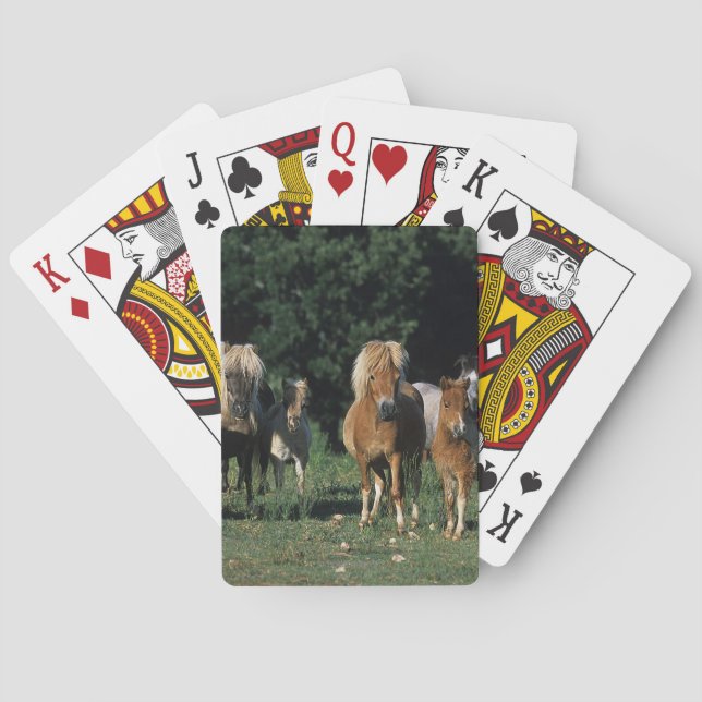 Jeu De Cartes Groupe de Miniature (dos)