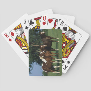 Jeu De Cartes Groupe de position de chevaux de peinture