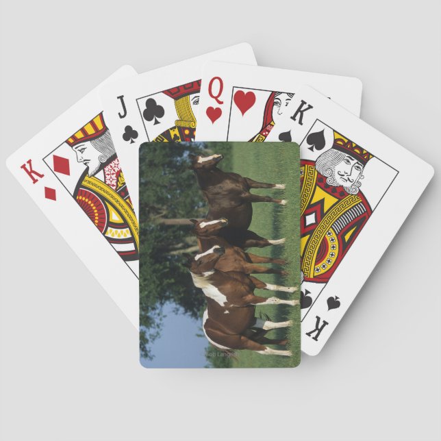 Jeu De Cartes Groupe de position de chevaux de peinture (dos)