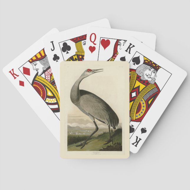 Jeu De Cartes Grue de Sandhill d'Audubon's Birds of America (dos)