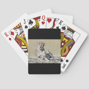Jeu De Cartes Guépard