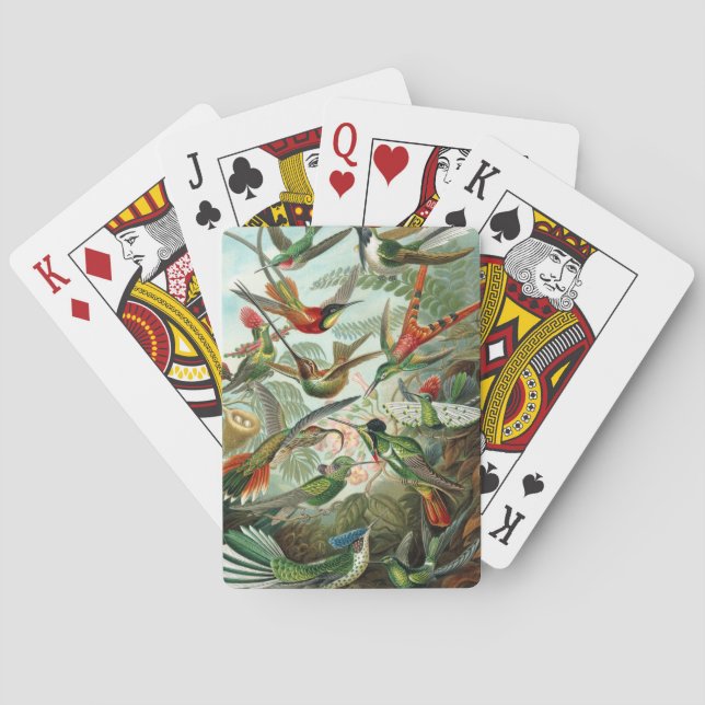 Jeu De Cartes Haeckel (dos)