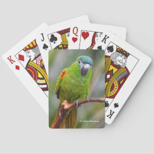 Jeu De Cartes Hahn's Mini Macaw / Macaw à épaulettes rouges