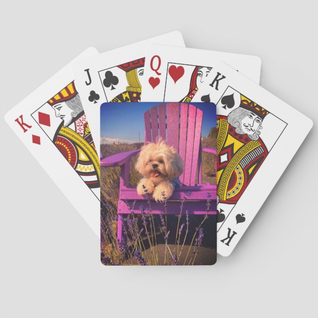 Jeu De Cartes Happy Playful Shih Tzu Puppy, Dog Relaxing (dos)