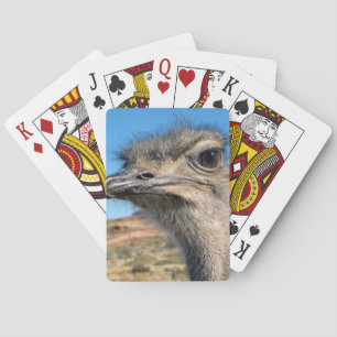 Jeu De Cartes Harry l'Autruche Heureux