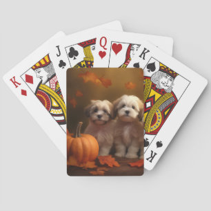 Jeu De Cartes Havanais chiot automne ravi Citrouille