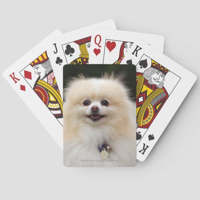 Jeu De Cartes Headshot 1 de Pomeranian (dos)