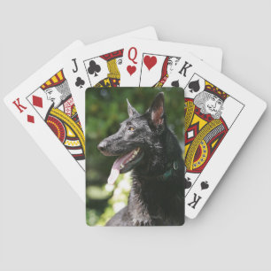 Jeu De Cartes Headshot 2 du berger allemand