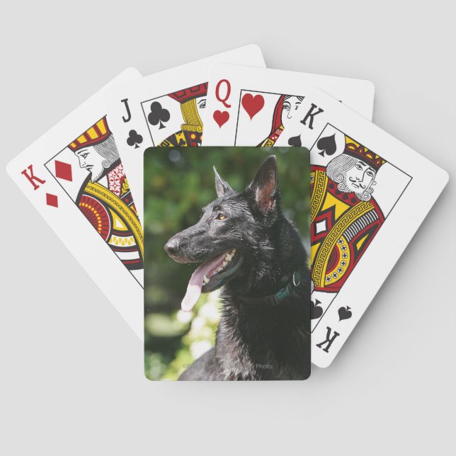 Jeu De Cartes Headshot 2 du berger allemand (dos)