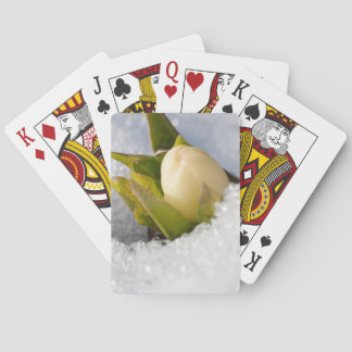 Jeu De Cartes Hellebore poussant à travers la neige,