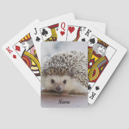 Jeu De Cartes Hérisson pour animal