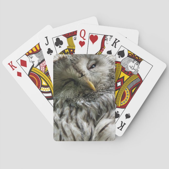 JEU DE CARTES HIBOU (dos)