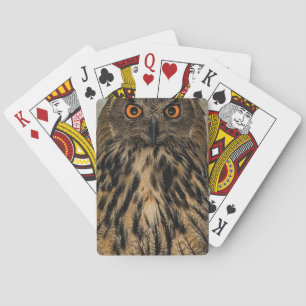 Jeu De Cartes Hibou d'apparence malveillante