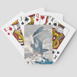 Jeu De Cartes Hibou des neiges décollant de la neige