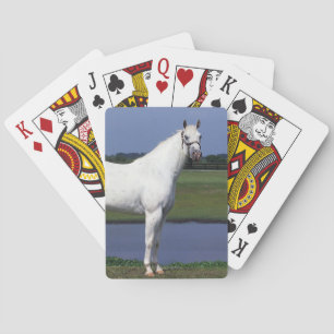 Jeu De Cartes Horse d'Appaloosa