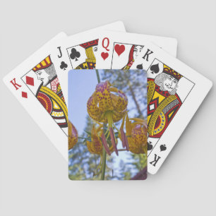 Jeu De Cartes Humboldt Lily