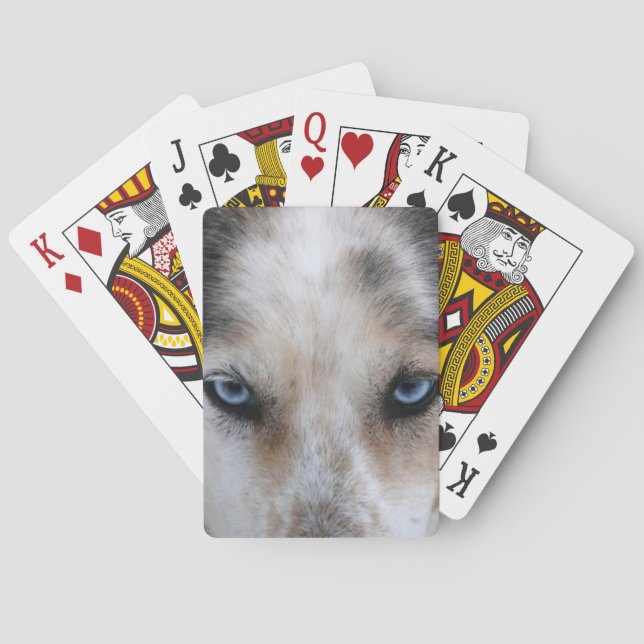 Jeu de cartes Husky yeux bleus (dos)
