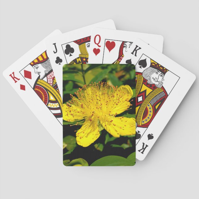 Jeu De Cartes Hypericum calycinum (dos)