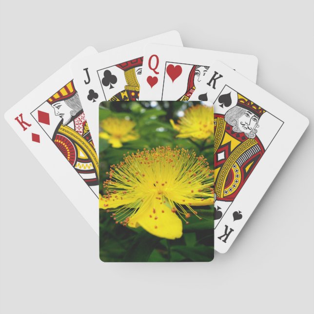 Jeu De Cartes Hypericum calycinum (dos)