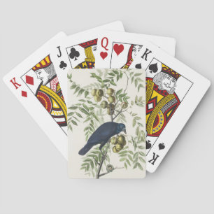 Jeu De Cartes Illustration Audubon Black Crow American Bird