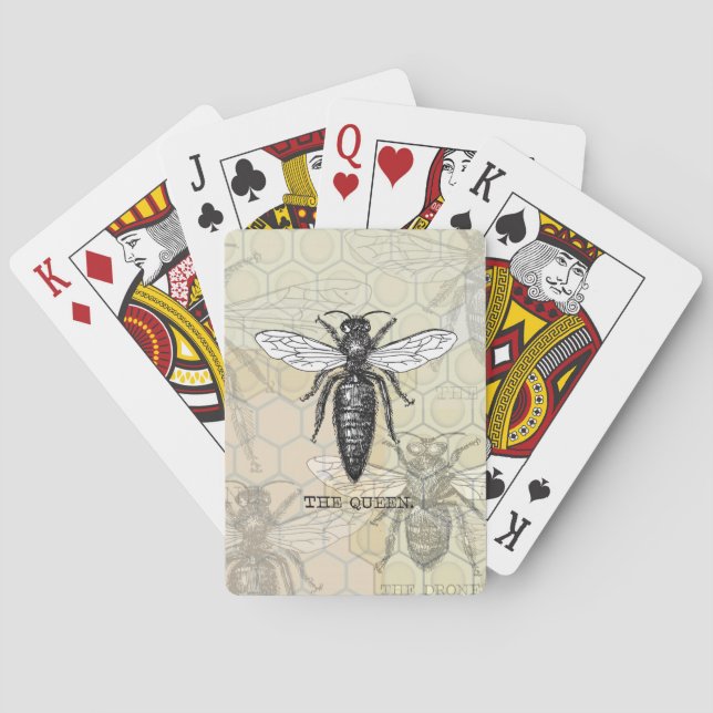 Jeu De Cartes Illustration d'antiquité de l'insecte de la reine  (dos)