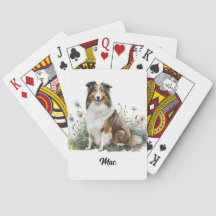 Illustration de chien mignon - Collie