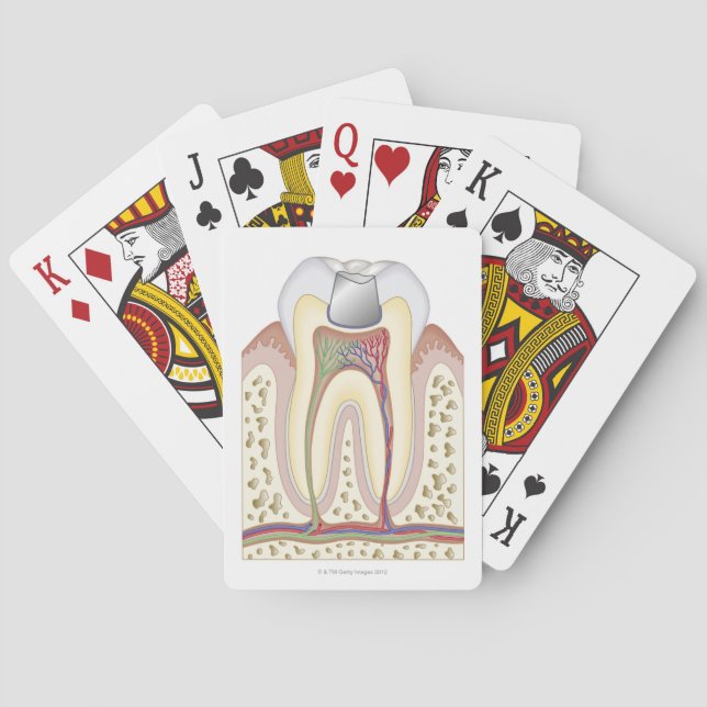 Jeu De Cartes Illustration de Dental Filling (dos)