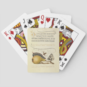 Jeu De Cartes Illustration de l'insecte du fruit du papillon