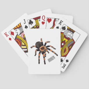 Jeu De Cartes Illustration de Tarantula
