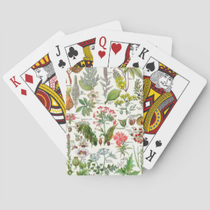 Jeu De Cartes Illustrations botaniques