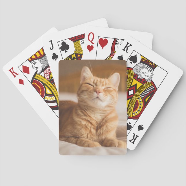 Jeu De Cartes Images Getty | Chat couché (dos)