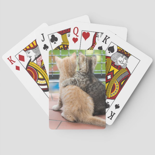 Jeu De Cartes Images Getty | Deux chatons sur un balcon (dos)