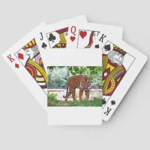 Jeu De Cartes impression de tigre chat personnaliser Anniversair