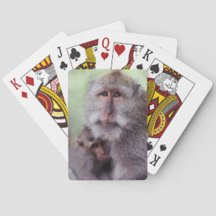 Jeu De Cartes Indonésie, Bali, Ubud, Macaque à longue queue