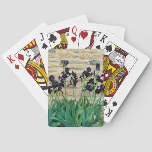 Jeu De Cartes Iris à poils