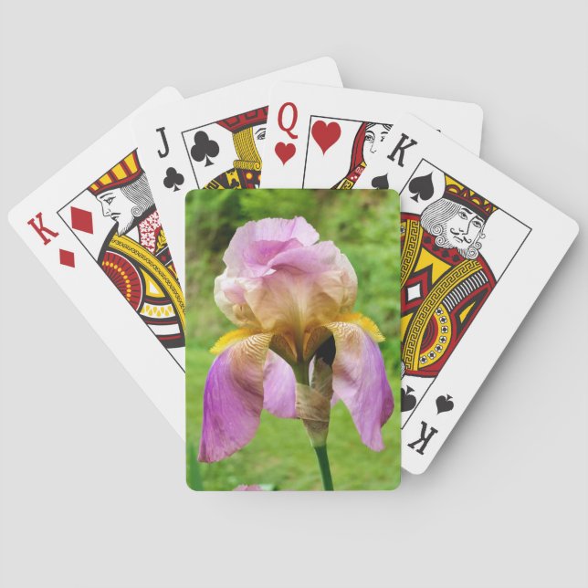 Jeu De Cartes Iris à poils (dos)