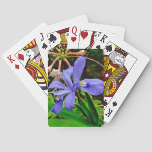 Jeu De Cartes Iris Nain Crêché