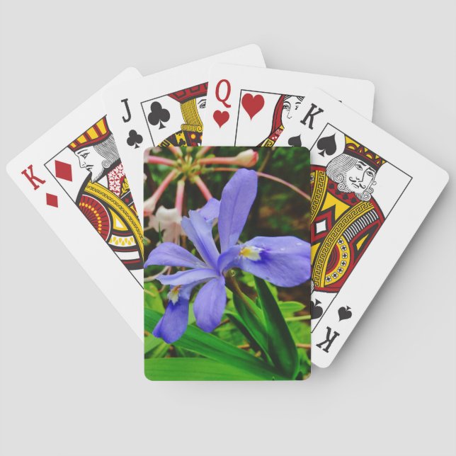 Jeu De Cartes Iris Nain Crêché (dos)