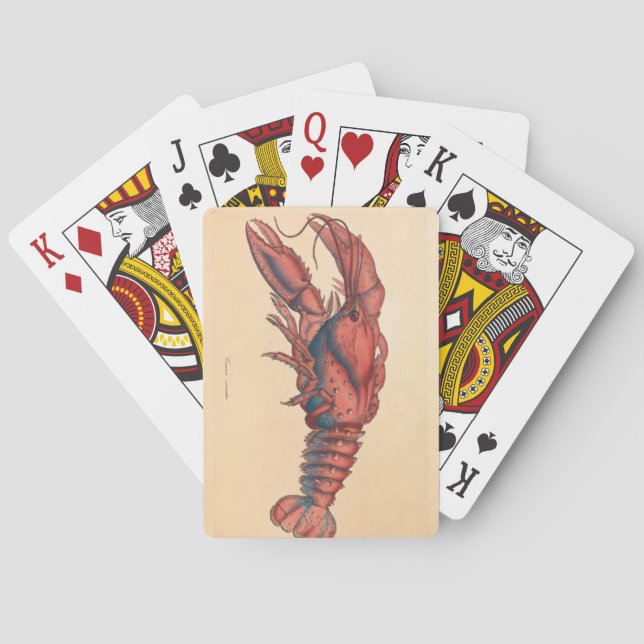 Jeu De Cartes James Sowerby Homard serbé (dos)